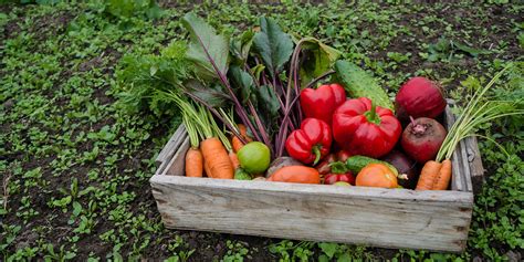 raw materials from agriculture.